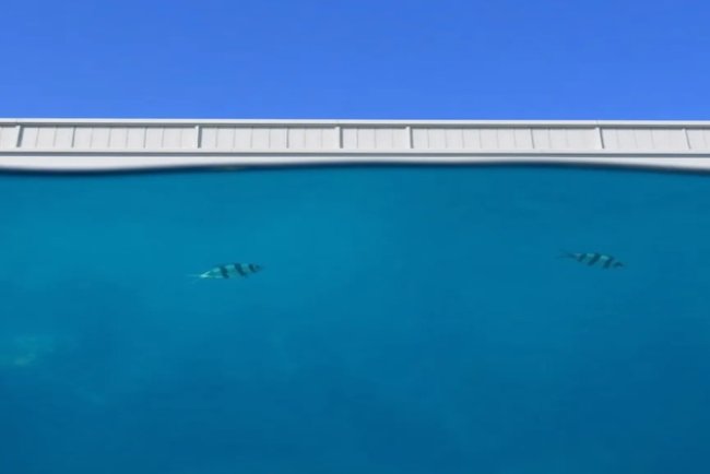 SEC Under Fire from Commissioners Over FlyFish NFT Settlement